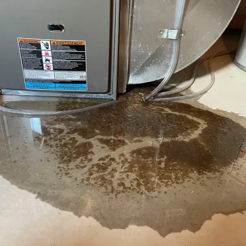 Appliance Leak Cleanup in Enochville, NC